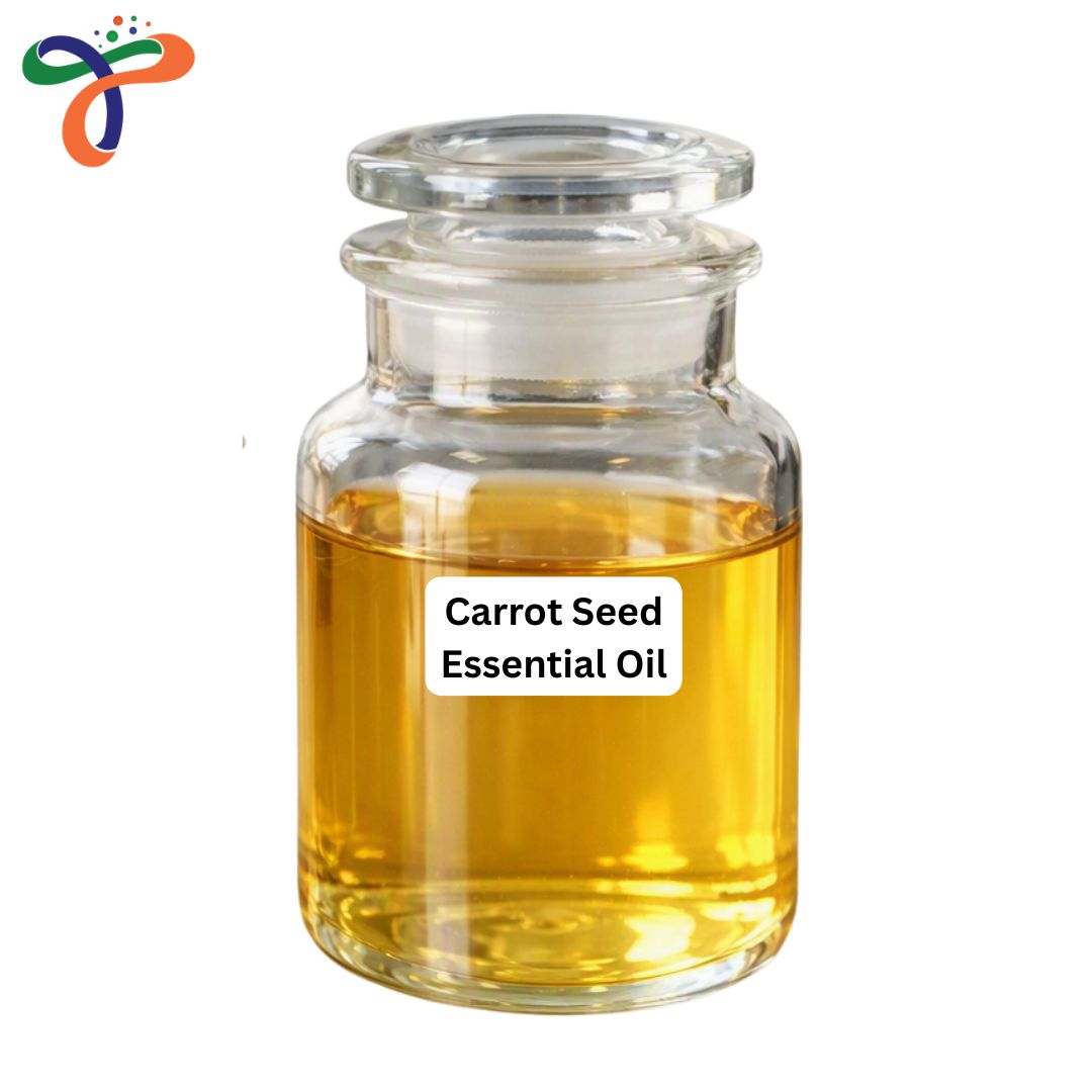 Carrot Seed Essential Oil
